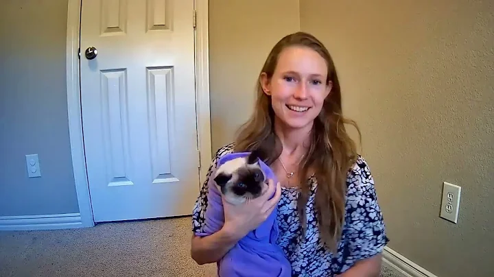 Cat Nail Trim in Calm and Cozy Cat Wrap