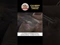セイウチのオス同士の小競り合い…牙が長い方が優位！？【どうぶつ奇想天外／WAKUWAKU】