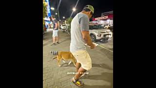 Kind Owner Helps Hungry Dog ❤️‍🩹