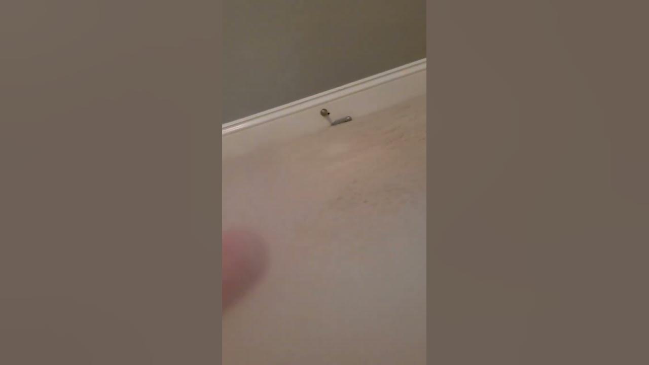 idiot-sets-off-smoke-alarms-by-using-fog-machine-inside-youtube