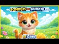 Adivina el Sonido / Sonidos para Niños Pequeños