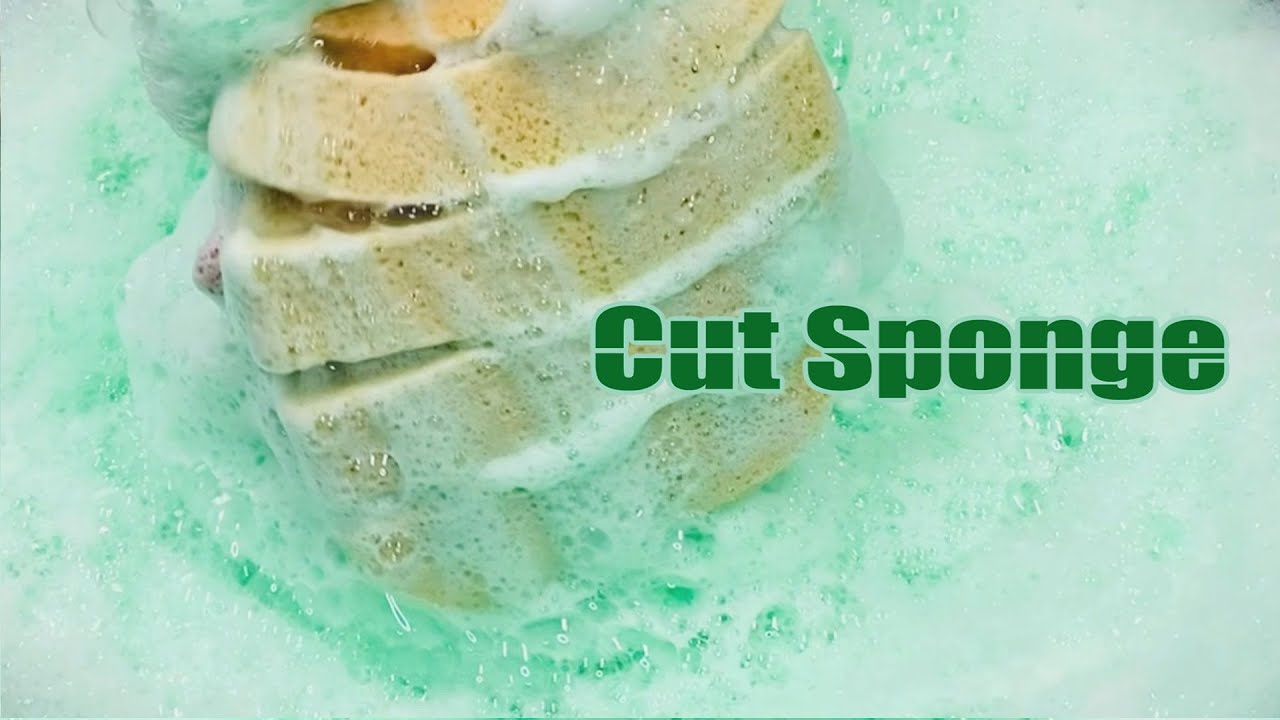 ASMR Sponge Squeeze 155.Cut Sponge YouTube