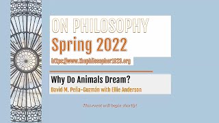 "Why Do Animals Dream?": David M. Peña-Guzmán in conversation with Ellie Anderson