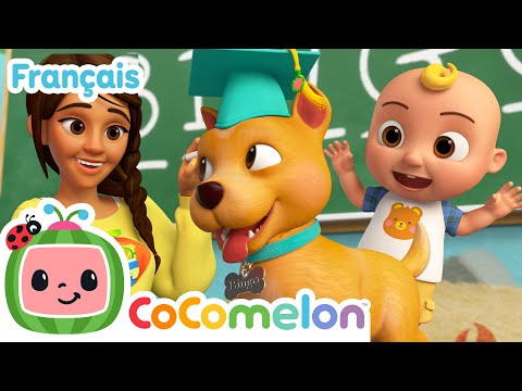 Le premier jour d'école de Bingo | Épisode Complet | CoComelon en Français | Chansons pour bébés