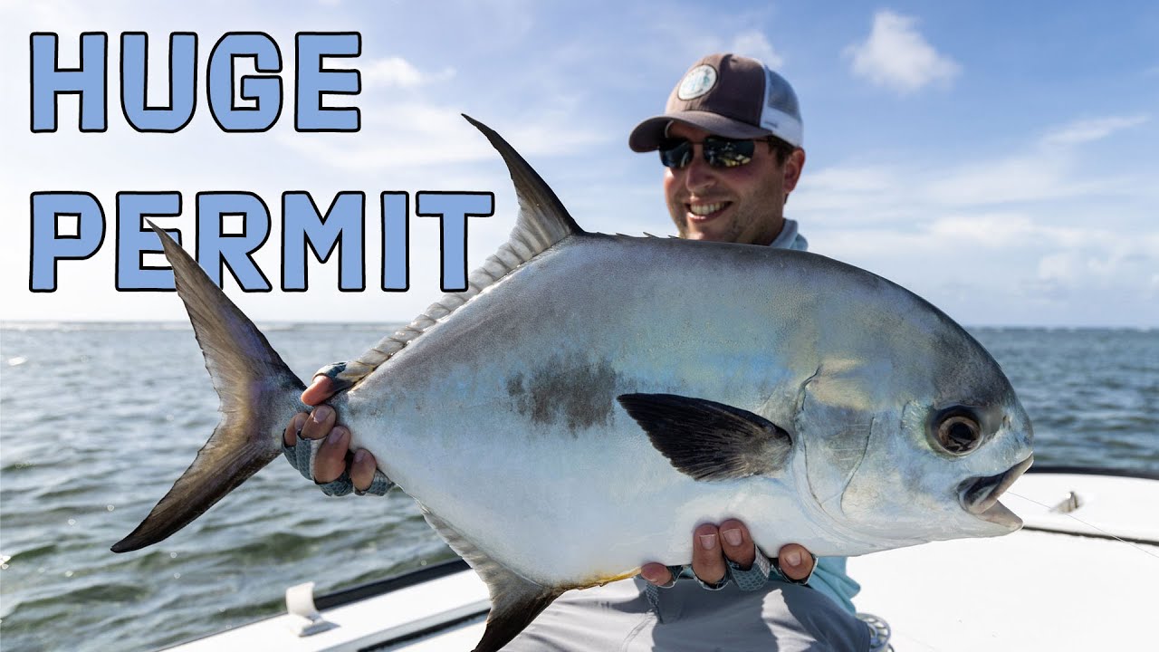 Fly Fishing Belize HUGE Permit at Blue Horizon Lodge YouTube