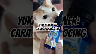 Obat cacing buat kucing kalian yang gak bikin drama🤭 Tinggal tetes beres! link produk di bio no.136