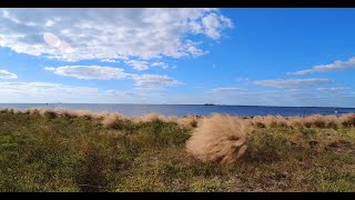 Is There A Beach In Apollo Beach, Florida? Let's Find Out [Tampa Bay, November 2024]