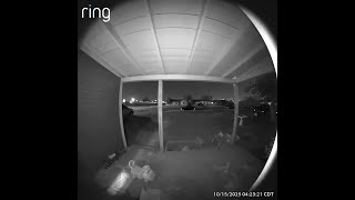 Caught on Camera: MPD searching for burglary suspect