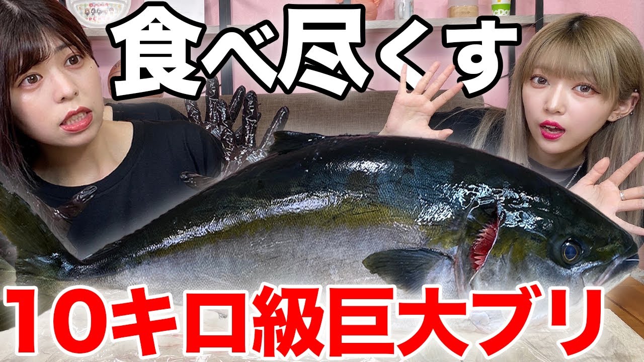 超巨大ブリを丸ごと食べきるまで終われませんしたら地獄だったww【大食い】