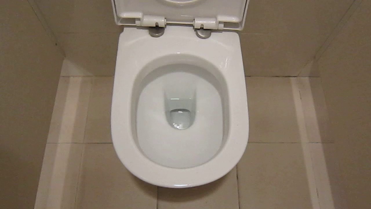 Toilet flush Woodlands Regional Library YouTube