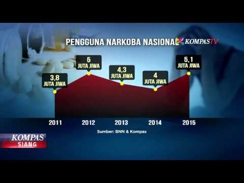 Ini Grafik Pengguna Narkoba  di Indonesia YouTube