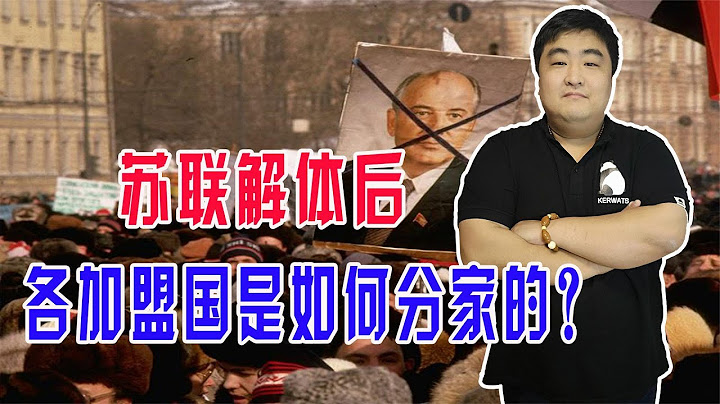 苏联是一群国家组成的大国，苏联解体后其他加盟国是如何分家的？
