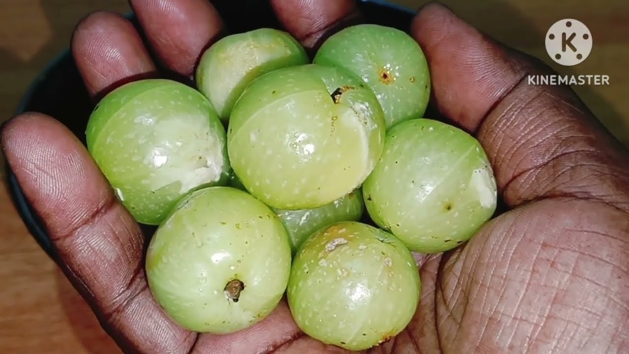 ಅಬ್ಬಾ ಏನ್ ರುಚಿ ಅಂತ್ರಿರಾ|| ಬೆಟ್ಟದ ನೆಲ್ಲ ಕಾಯಿ ರಸಂ||# Amla Rasm|| Leela's kannad channel