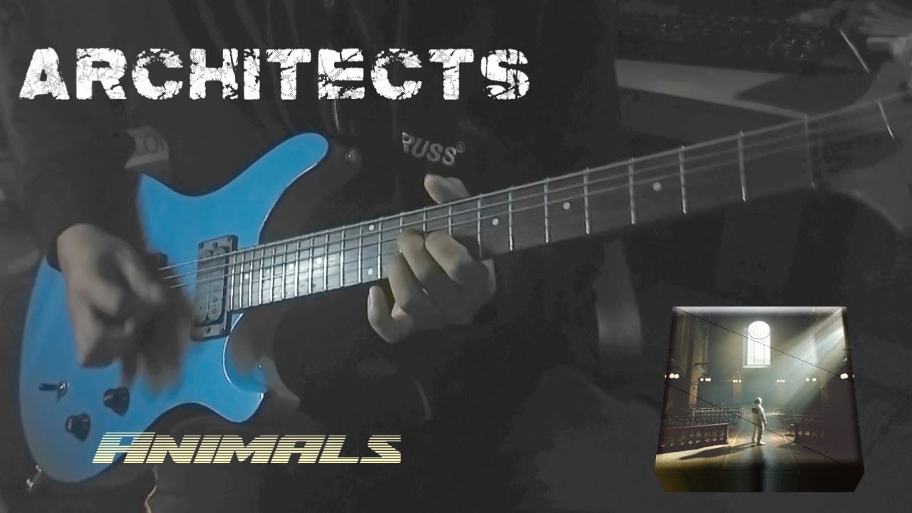 Architects animals (cover) YouTube