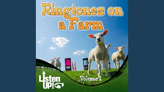 Chicken Coop Atmosphere - The Farmtones