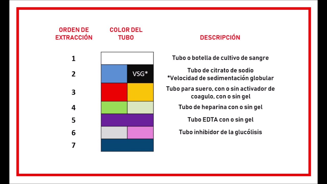 orden-de-extracci-n-tubos-para-muestra-de-sangre-venosa-youtube