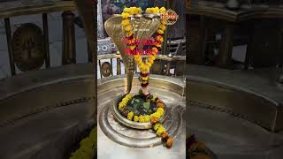 Virupaksh Mahadev bilpank #virupaksha #matasherawali #bilpank #travel
