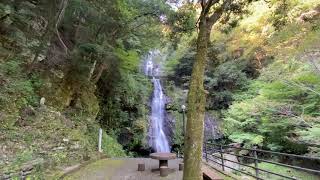 鳴滝（なるたき）：観光案内人「つるぎの達人」と行く：つるぎ町tsurugi-choutyou/Tokushima/JPN/