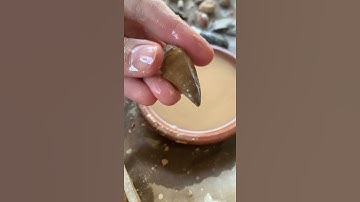 ASMR relax while I dig for fossils