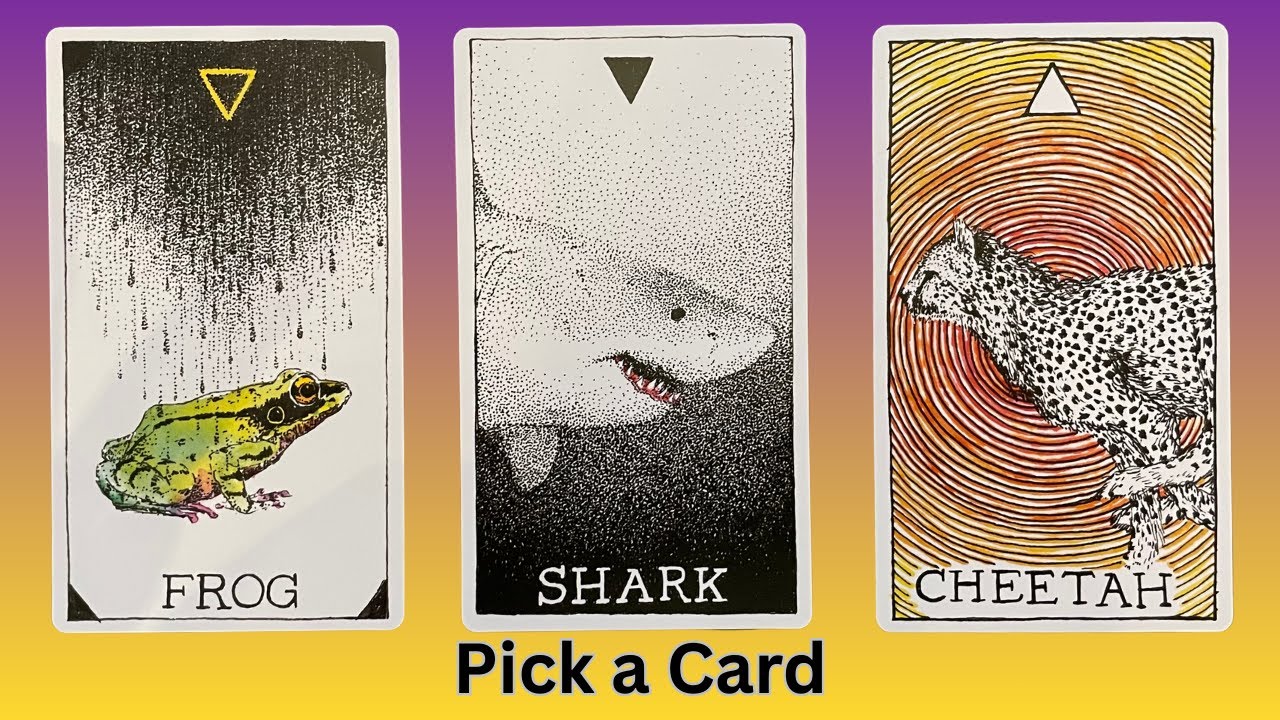 A Mystery Message - Pick A Card - Tarot Reading