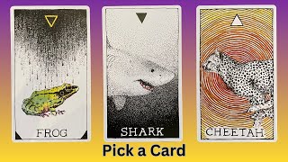 A Mystery Message - Pick A Card - Tarot Reading