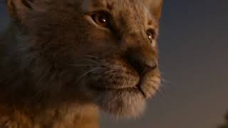 THE LION KING ODEON ISENSE Square