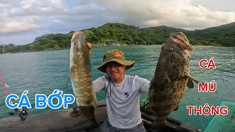 ĐI CÂU JIGGING ĐIỂM RẠNG KHƠI ! May Mắ Dính Toàn Cá Ngon ! Điểm Câu Ít Người Biết Luôn Luôn Có Cá ..