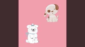 Vibrant Moods for Positive Doggy