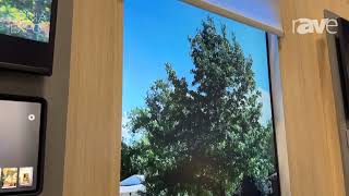 CEDIA Expo 2024: Lutron Showcases Natural Light Optimization for Its Roller Shades and More