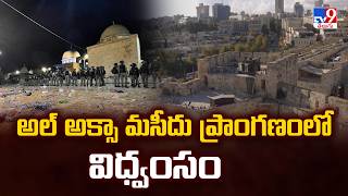 Al Aqsa Mosque Attack: అల్ అక్సా మసీదు ప్రాంగణంలో విధ్వంసం - TV9 screenshot 2