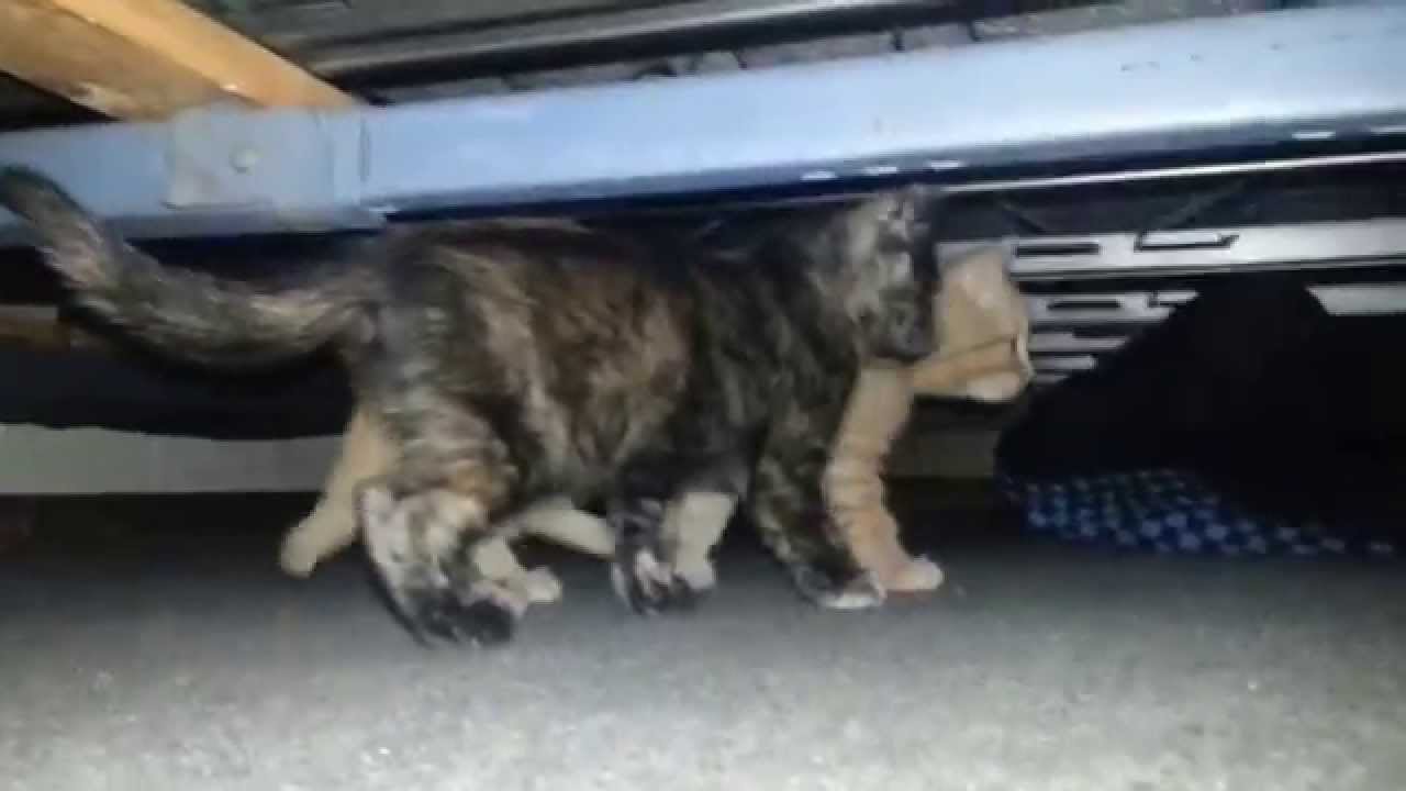 Hemera & Helios' New Digs