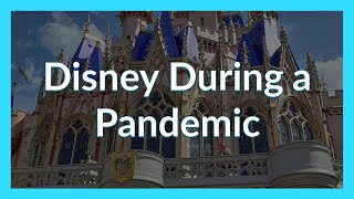 Disney During a Pandemic Summer 2020