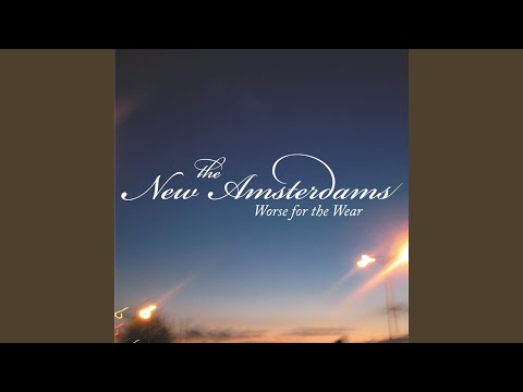 洋楽 the New Amsterdams / Worse for the Wear the new