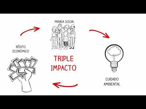 Triple Impacto, pilares de las empresas sustentables hqdefault