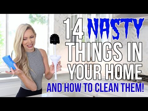 14 NASTY Things in Your Home & How To Clean Them!