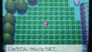 ポケトレ連鎖 08 色違いネイティ出現 ポケモンダイヤモンド パール Pokemon Diamond Pearl Shiny Natu Appeared Youtube