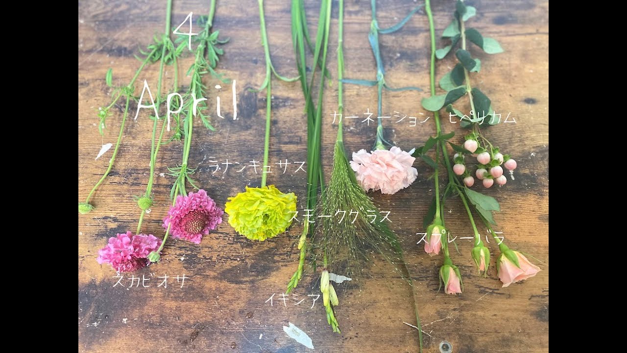 4月の お花の定期便 イキシアが旬です 一花 いちか スタッフのフラワー日誌です