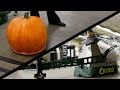 RC Pumpkin Combat Robot