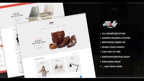 Install Demo Molly Shopify Theme