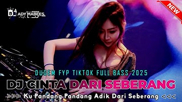DUGEM FYP TIKTOK FULL BASS 2025 !! DJ CINTA DARI SEBERANG X TAKKAN ADA LAGI