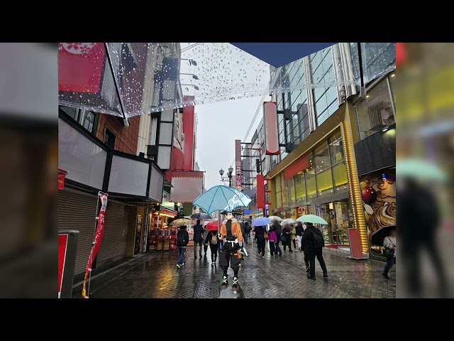 shinri walks around dotonbori with an umbrellaのサムネイル