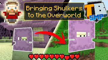 Getting Shulkers to the Overworld, Survival - Truly Bedrock S4E12 (There