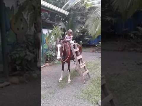 funny-kids-riding-horses