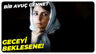 Bir Avuç Cennet - Kudurmuş Gibi Saldırıyorsun Tarık Akan Eski Türk Filmi
