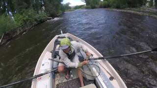Fly Fishing Gunnison River - Almont, CO