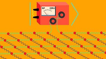 Learning Shallow Quantum Circuits and Quantum States Prepared by Shallow Circuits in Polynomial Time