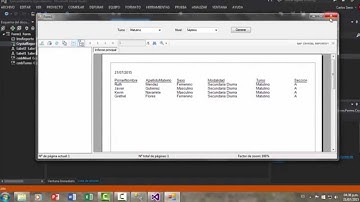 Reporte con 2 parámetros en Visual Studio 2013