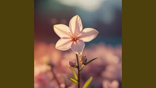 Hamdan dan melati satu timba