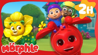 Morphle is UnBEElievbly Happy!  | Morphle the Magic Pet | Preschool Learning | Moonbug Tiny TV