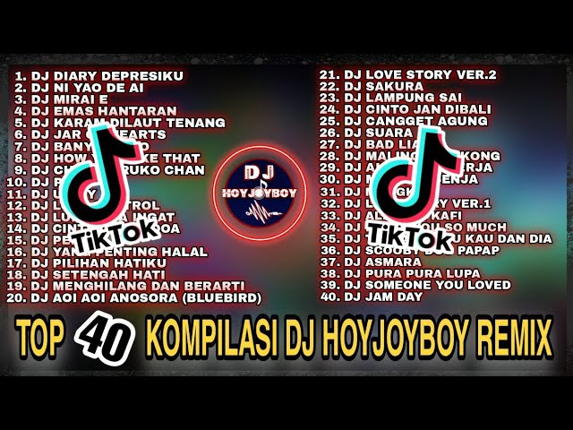 40 COMPILATION DJ HOYJOYBOY REMIX 2021 TIKTOK 🤩| DJ REMIX 2021 TERSANTUY!!! TANPA IKLAN!!! class=